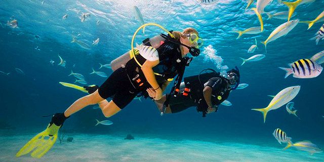 Swim with Turtles at Balaclava Marine Park (7)